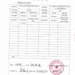 檢測報(bào)告（2024.05.30）